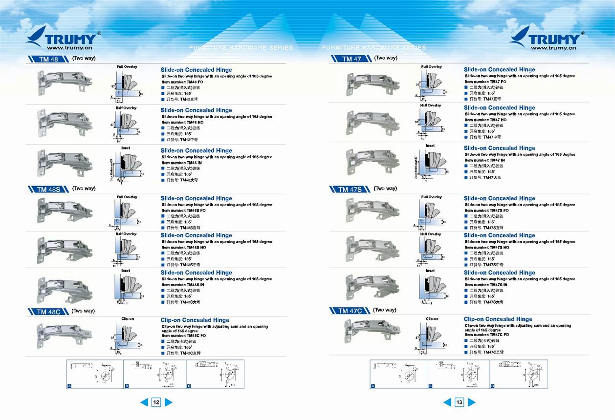 kitchen hinges TM12-13 [kitchen hinges ]